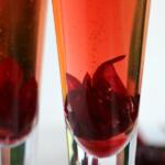 hibiscus flower in champagne