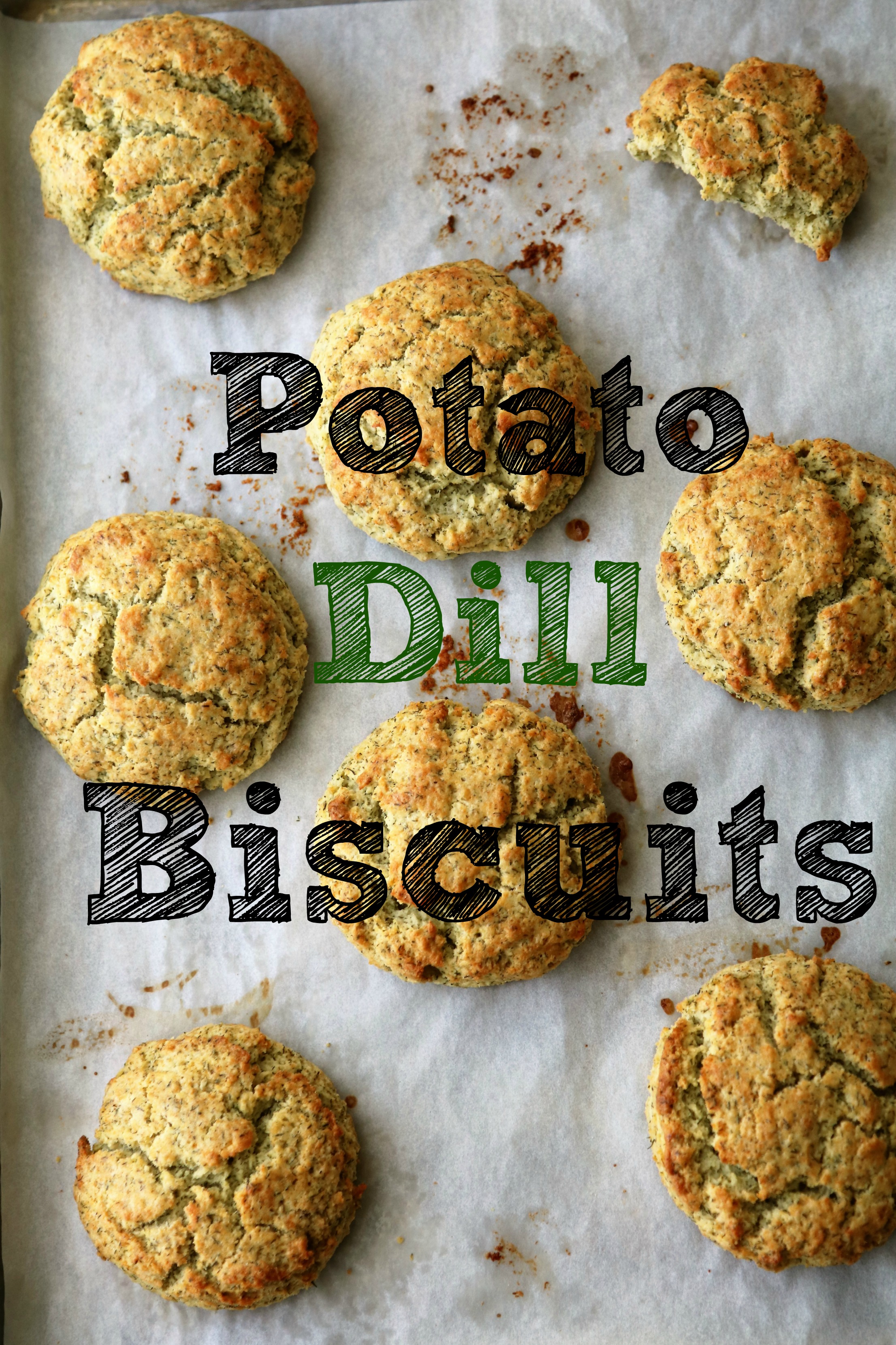 Potato Dill Biscuits