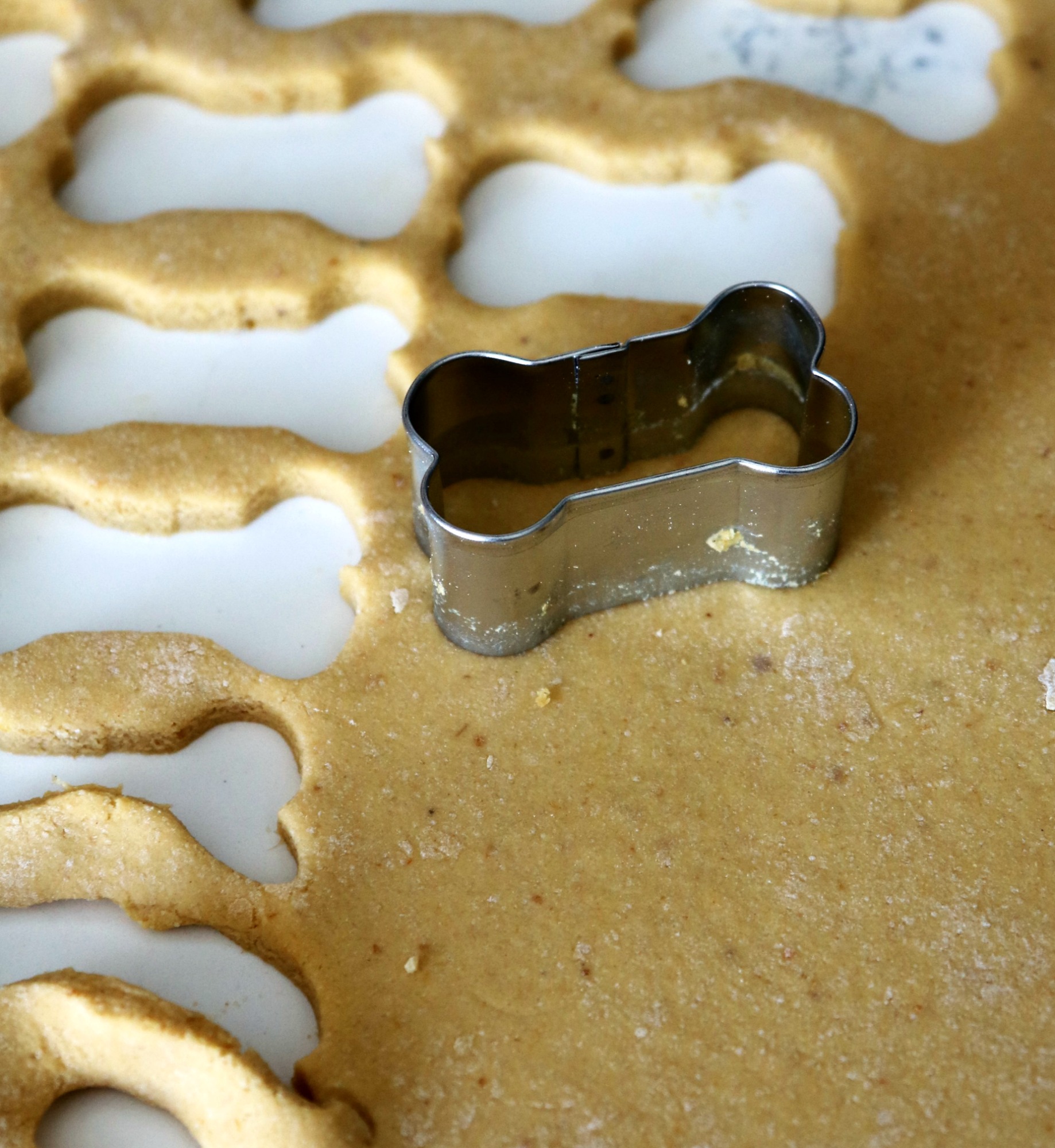 Bone shaped cookie cutter on dough for Pumpkin Banana Dog Treats