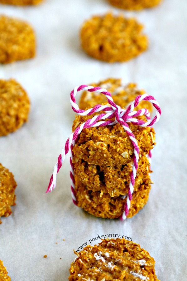 oatmeal pumpkin treats tied with pink and white twine