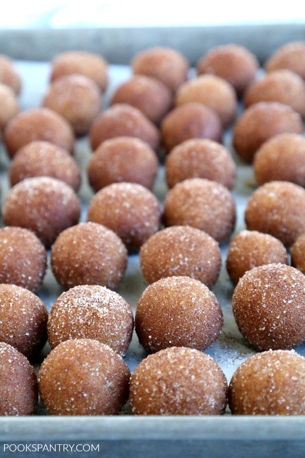 Cookie balls on sheet pan rolled in cinnamon sugar.