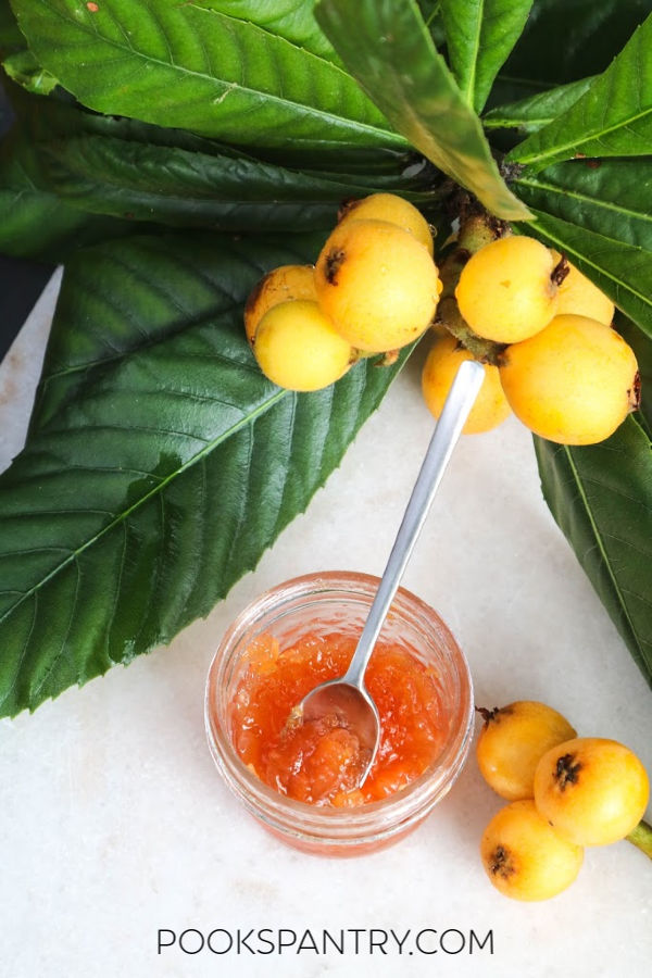 loquat jam recipe for canning with fresh loquats