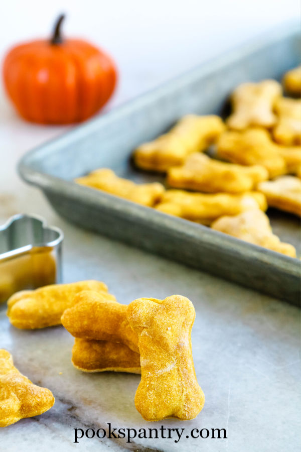 Pumpkin dog treats without peanut butter on counter.