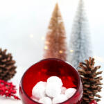 Traditional rum ball recipe in red candy dish with bottle brush trees in the background.