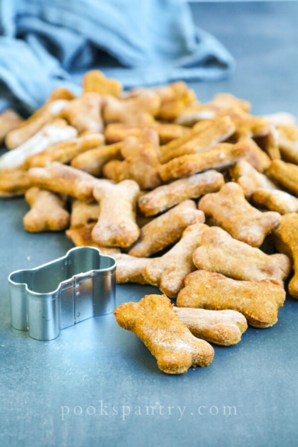 Homemade dog treat recipes with butternut squash on blue background with bone-shaped cookie cutter.