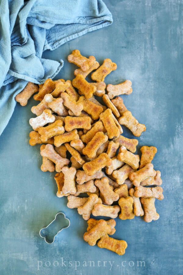 butternut squash dog treats on cement background with cookie cutter