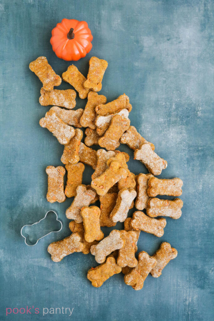 Pumpkin and carrot dog treats on blue background with small plastic pumpkin in the back.