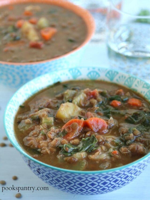 Slow cooker lentil soup