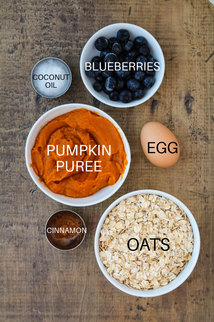 Ingredients for homemade dog treats with pumpkin and blueberry.