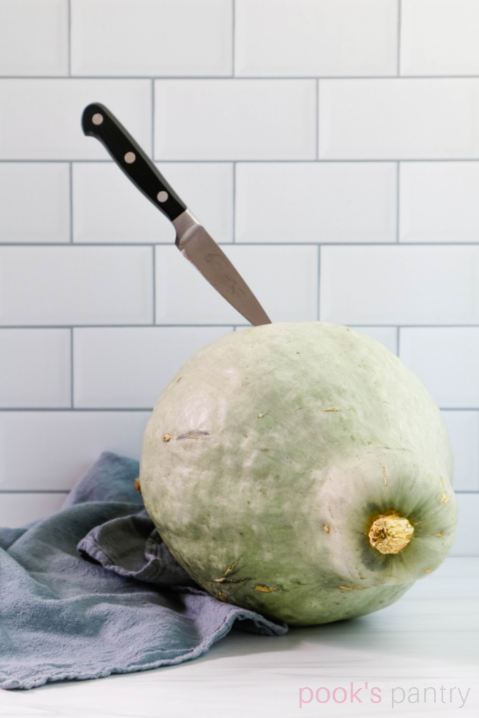 Paring knife stuck into Hubbard squash with blue towel on the side.