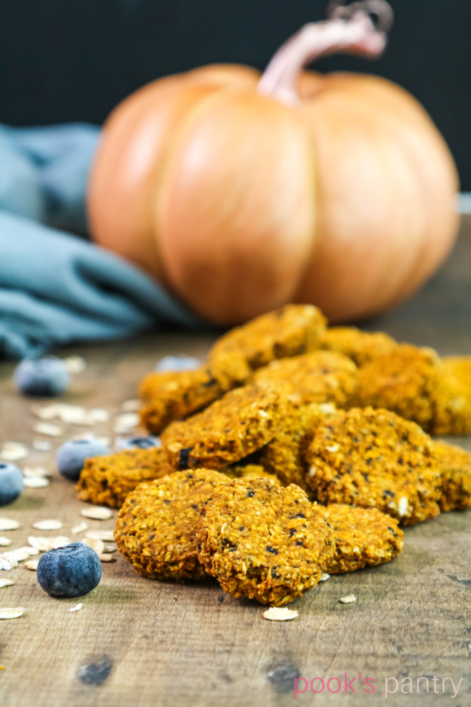 Dog biscuits with pumpkin and blueberries on wood background.