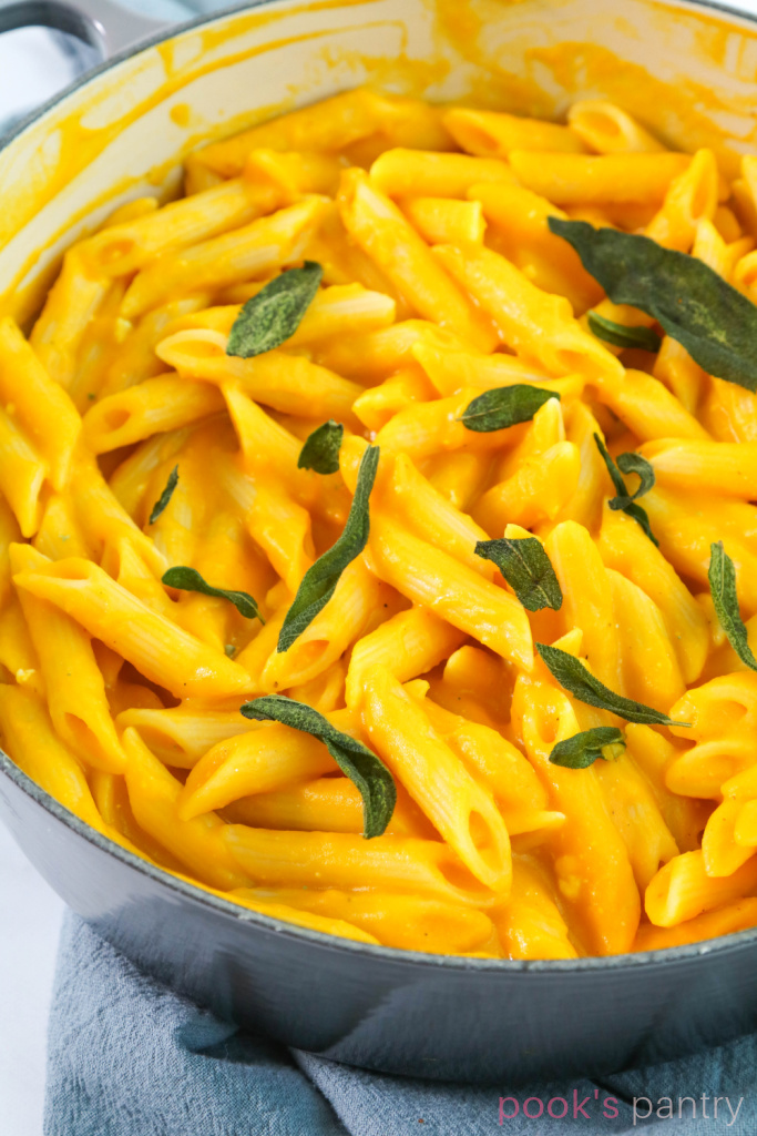 Penne pasta with squash sauce and blue cheese.