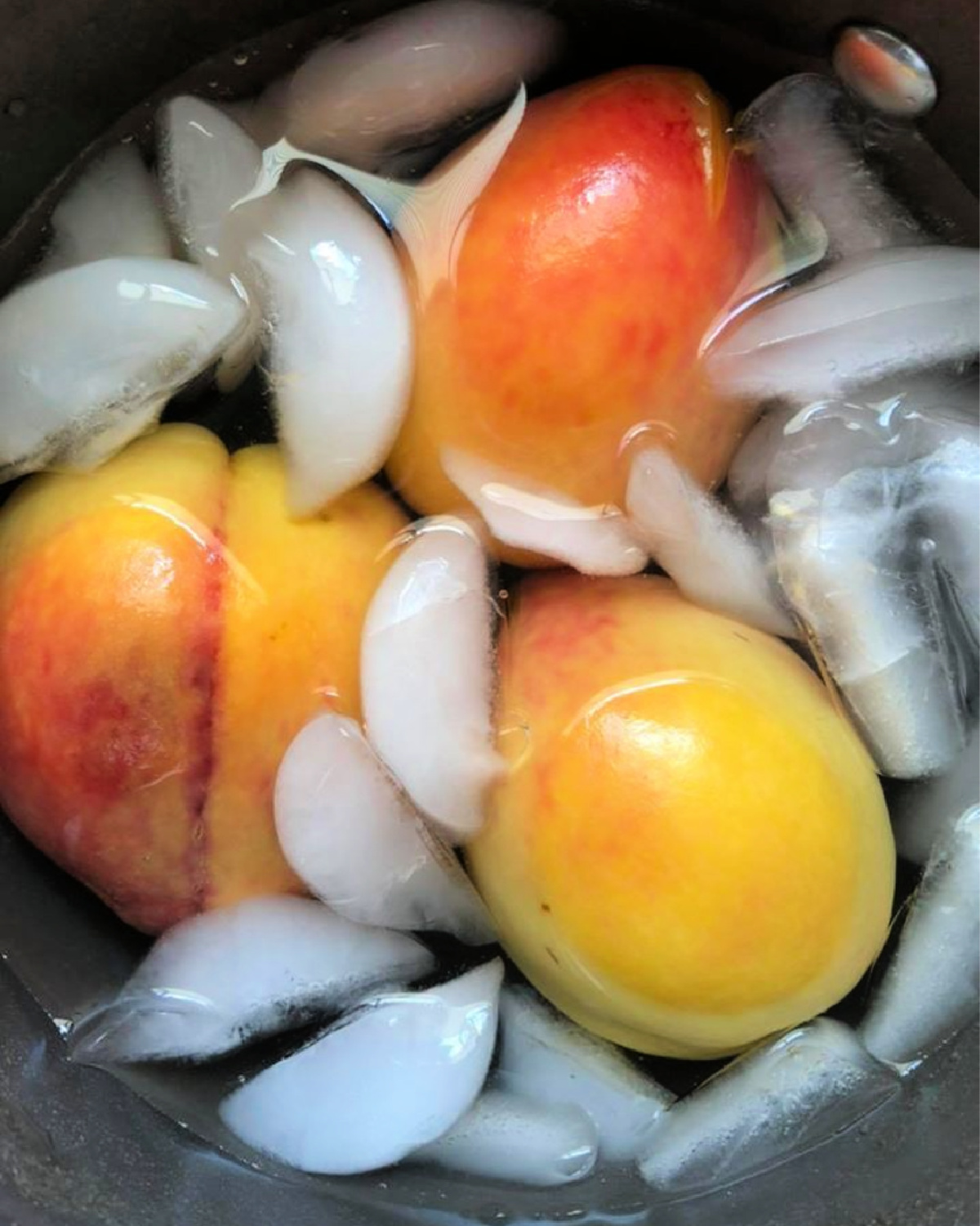 Demonstrating how to peel peaches - showing poached peaches in an ice bath.