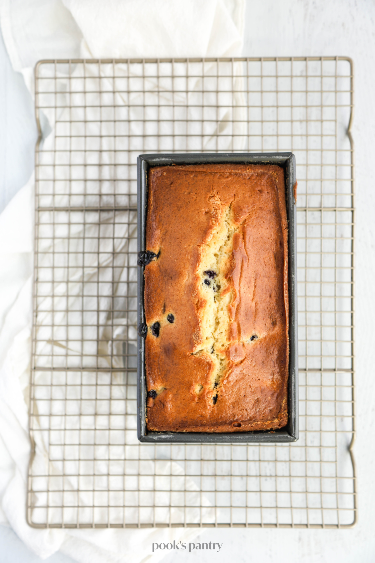 A blueberry loaf cake in the baking pan, cooling on a metal rack.