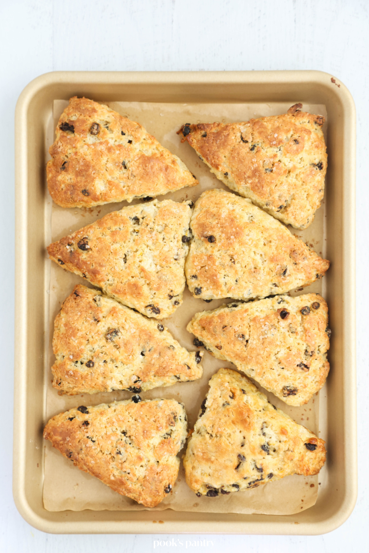 Baked currant scones on a sheet pan.