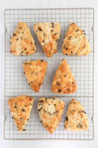 Orange currant scones on a cooling rack.