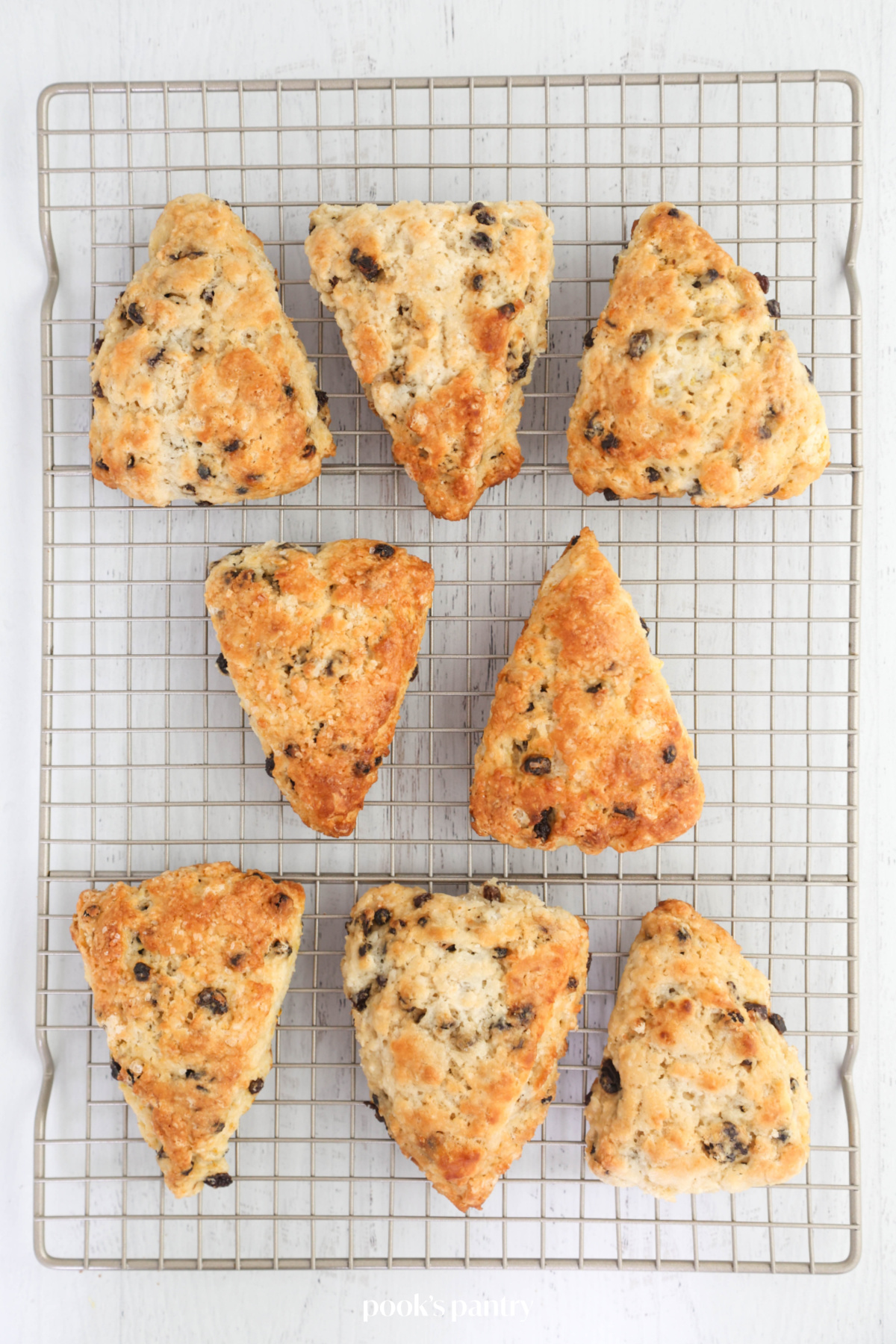 Currant scones on a wire cooling rack.
