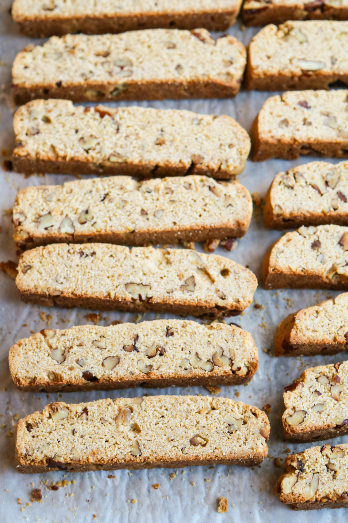 Sliced biscotti, after the first bake, on a sheet pan, ready to bake for the second time.